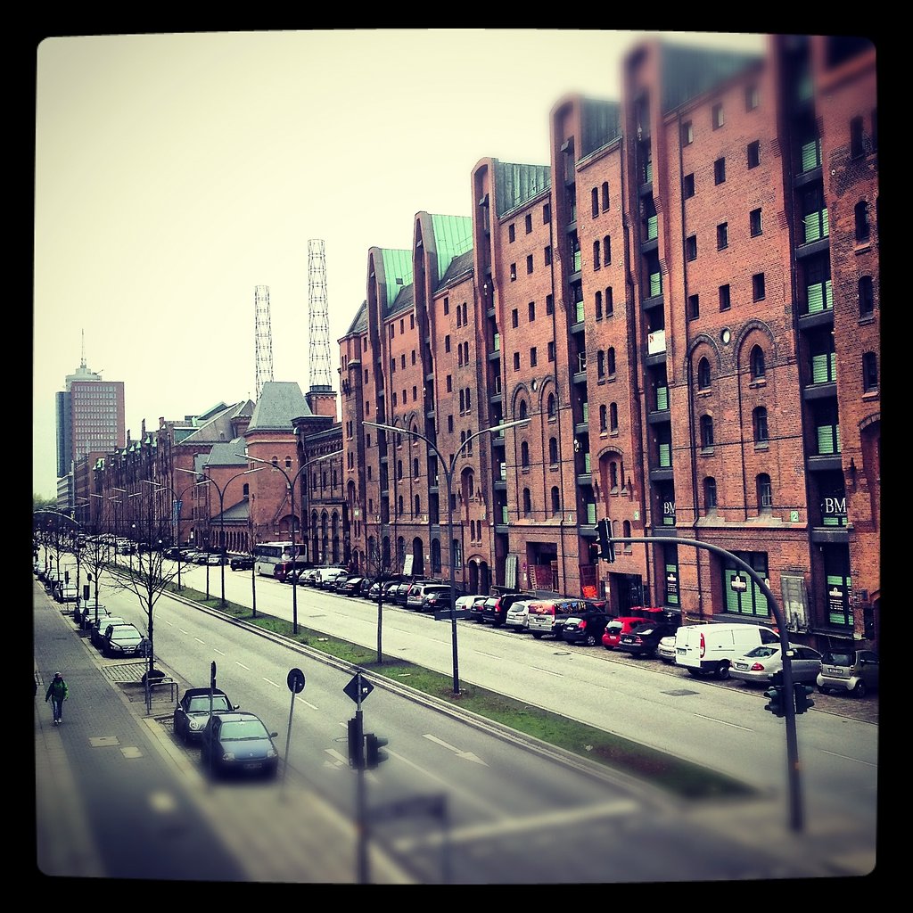 IMG-2305.JPG
