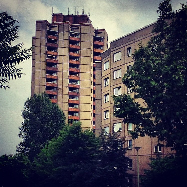 IMG-1204.JPG