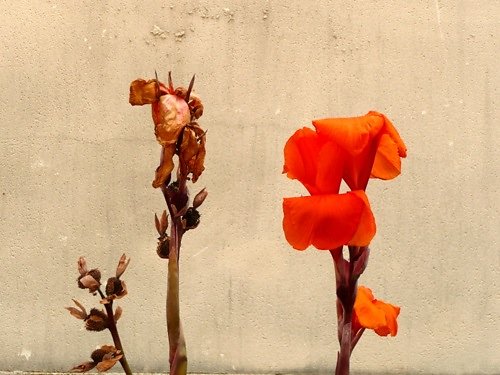 test074.jpg