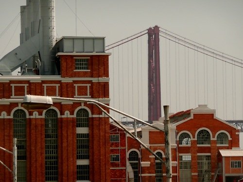 test077.jpg