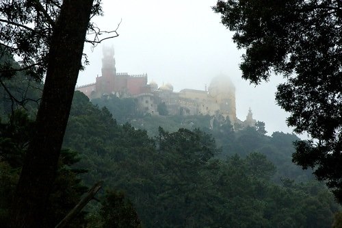 test095.jpg