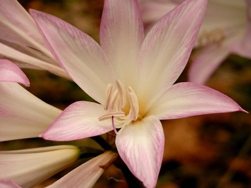 test102.jpg