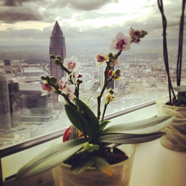 Instagram