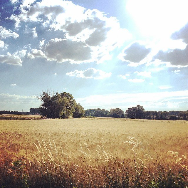 Instagram
